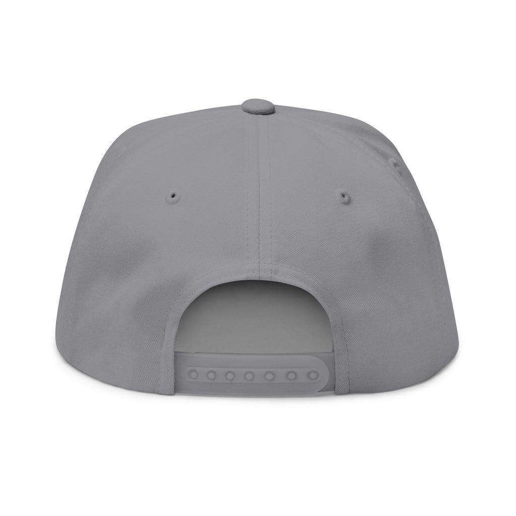 I Got Swag Embroidered Flat Bill Cap