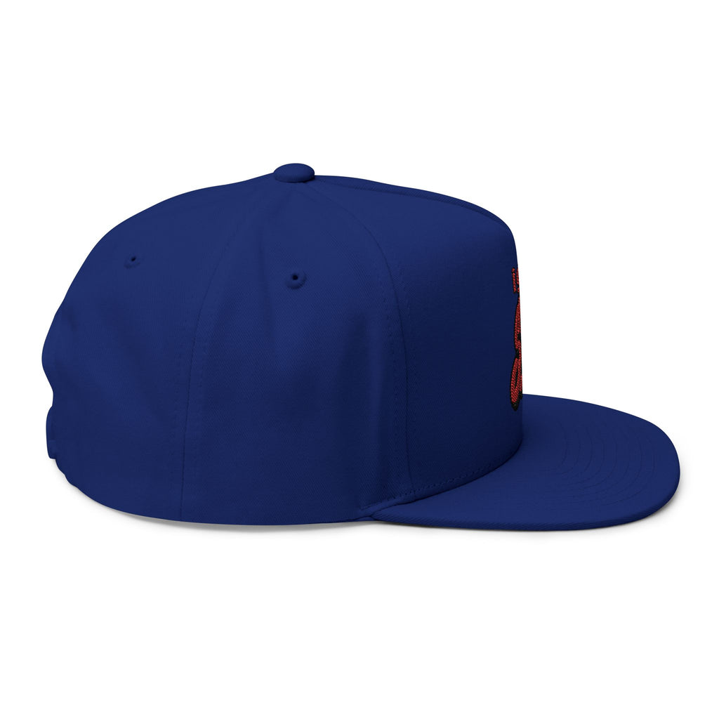 I Got Swag Embroidered Flat Bill Cap