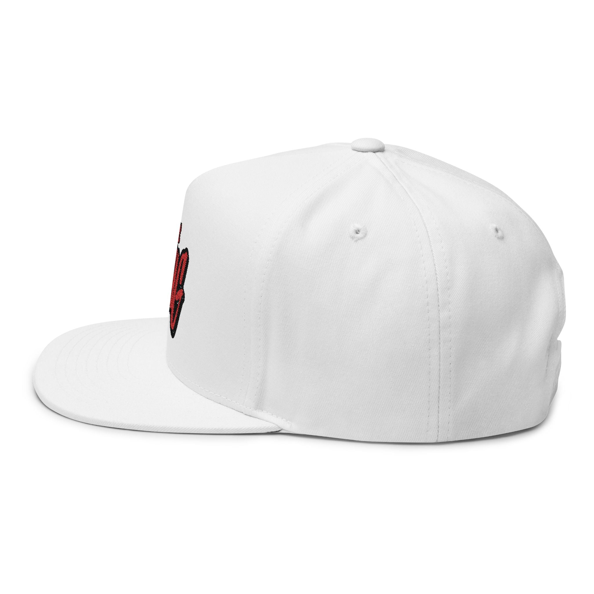 I Got Swag Embroidered Flat Bill Cap