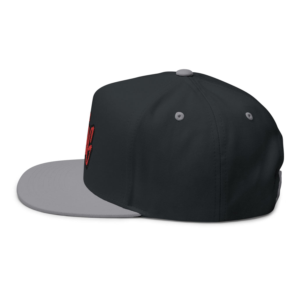 I Got Swag Embroidered Flat Bill Cap