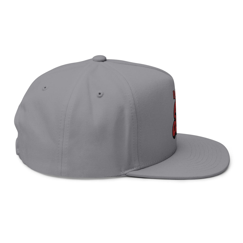 I Got Swag Embroidered Flat Bill Cap