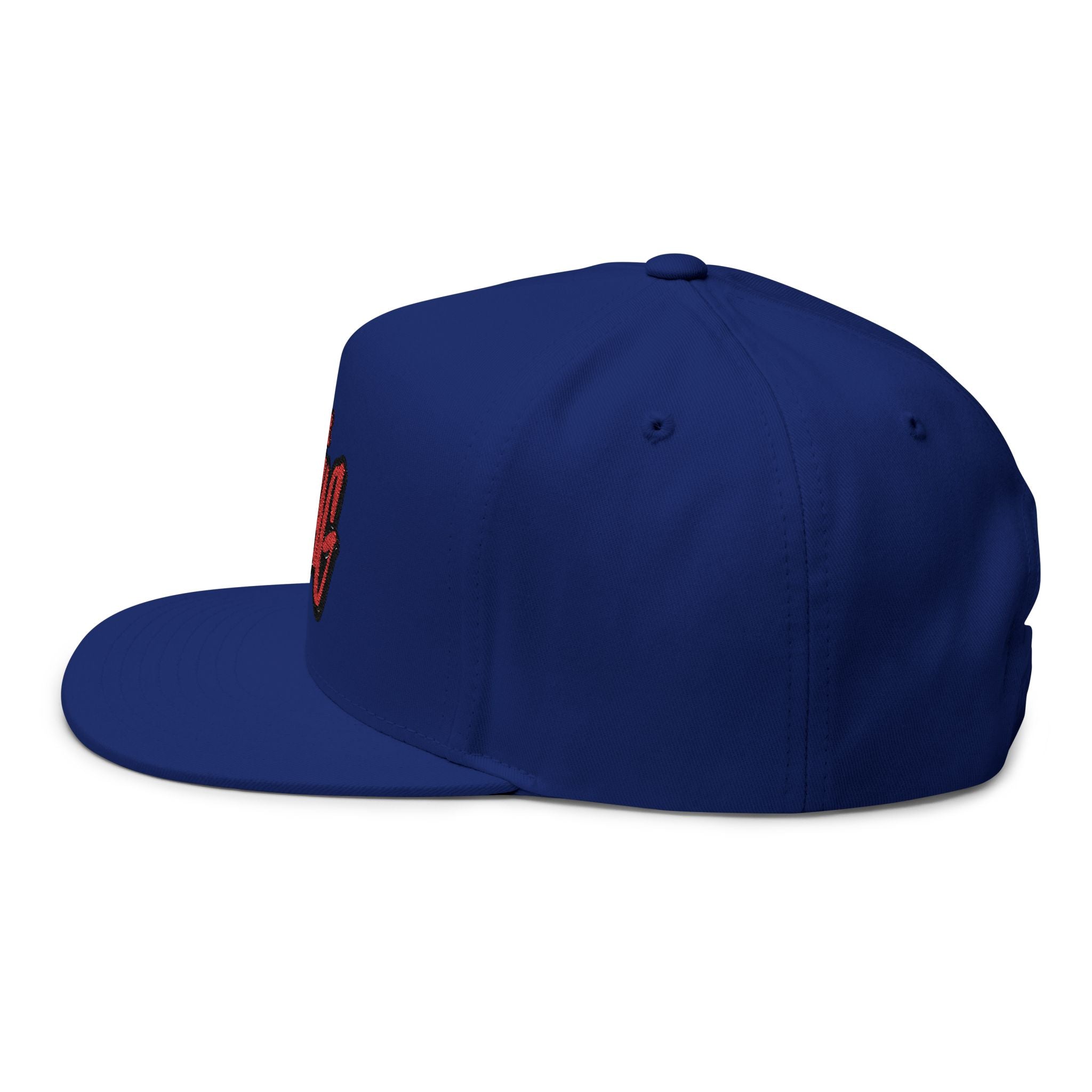 I Got Swag Embroidered Flat Bill Cap