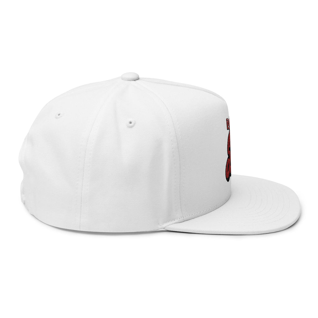 I Got Swag Embroidered Flat Bill Cap