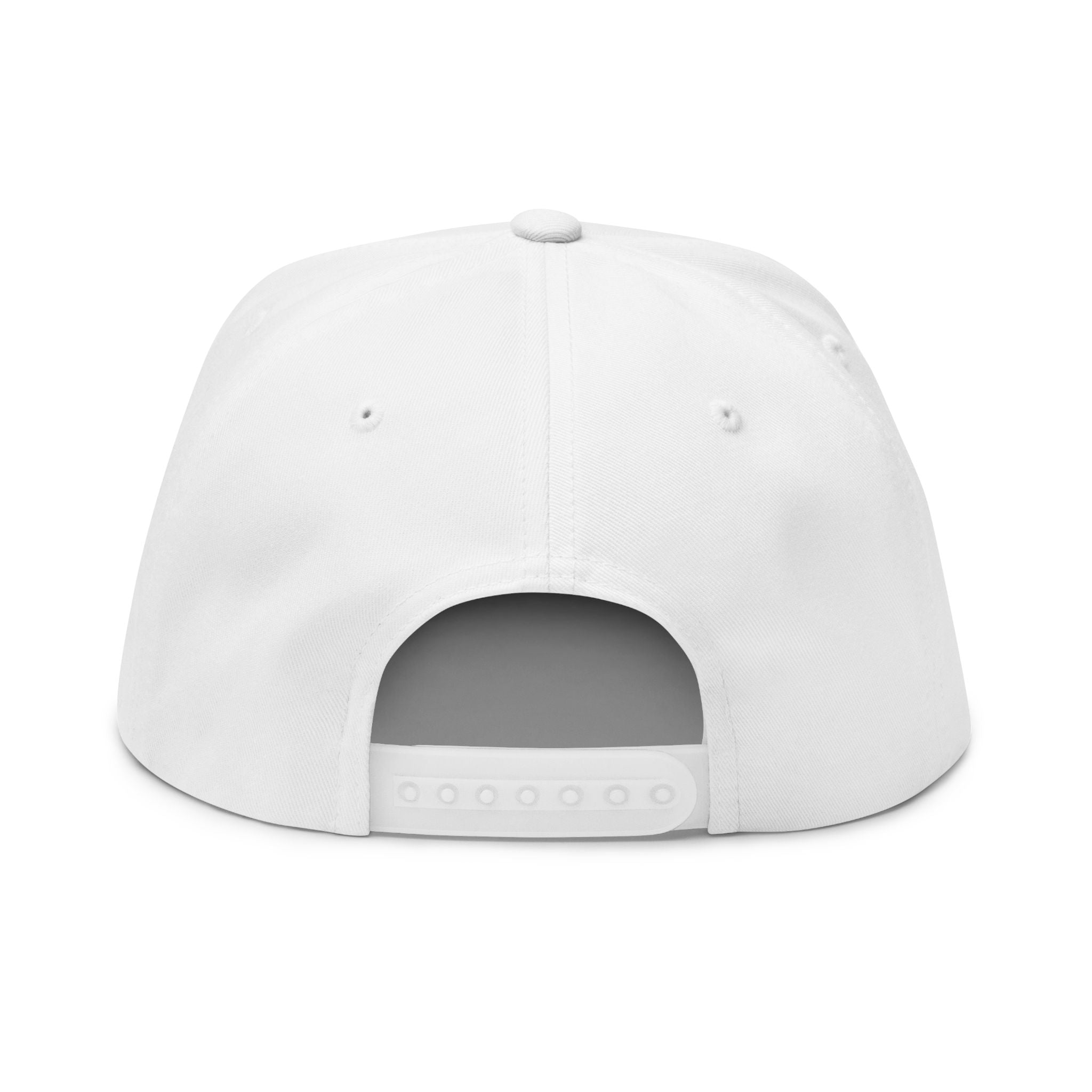 I Got Swag Embroidered Flat Bill Cap